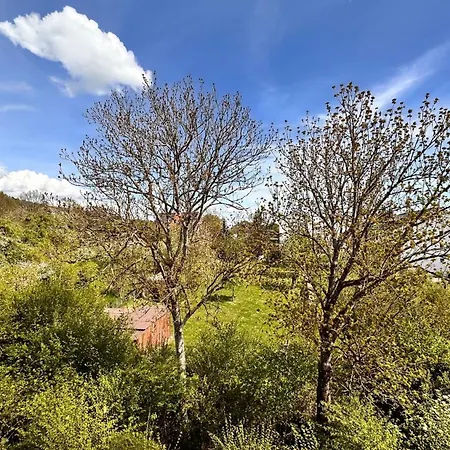 Vogelnest - Stilvolles Neubau-loft Apartment *